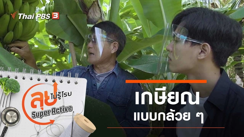 เกษียณแบบกล้วย ๆ