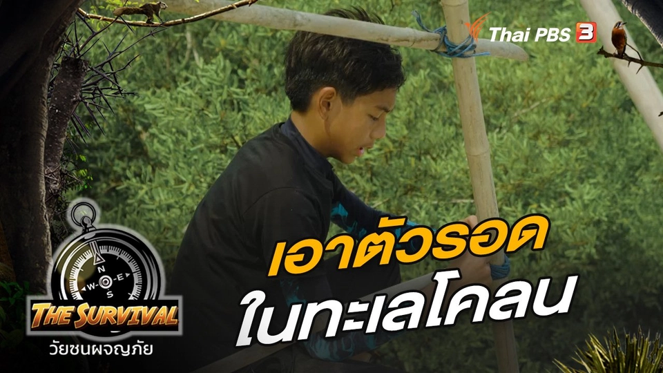 เอาตัวรอดในทะเลโคลน