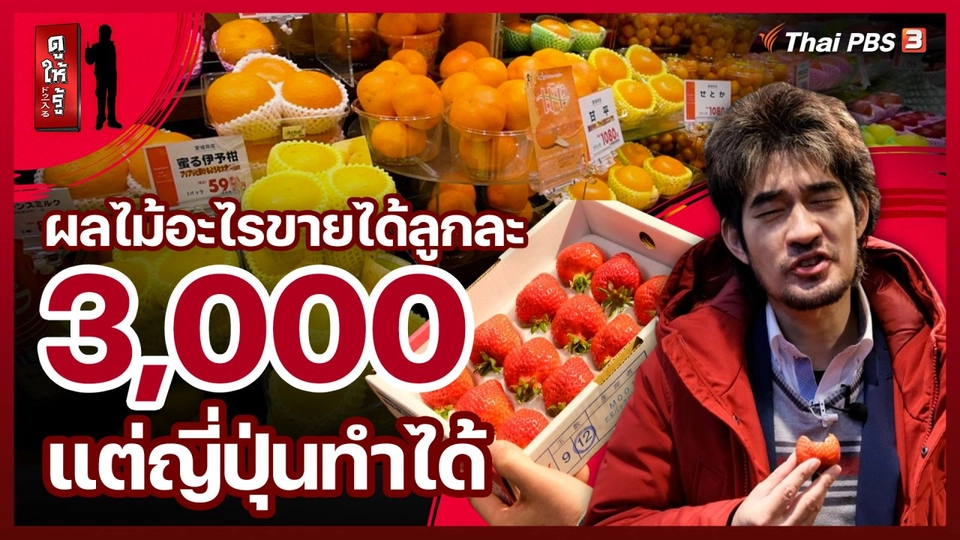 ผลไม้อะไรขายได้ลูกละ 3,000 แต่ญี่ปุ่นทำได้