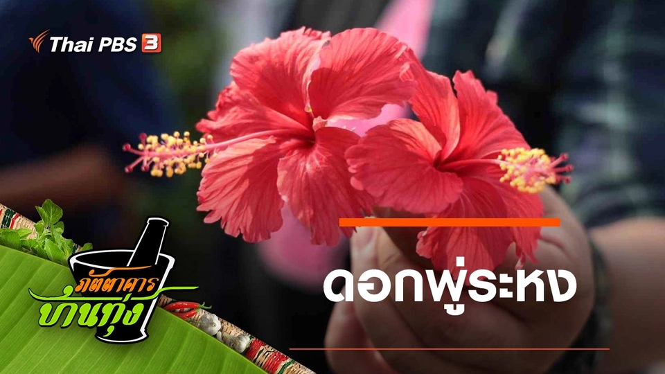 ดอกพู่ระหง