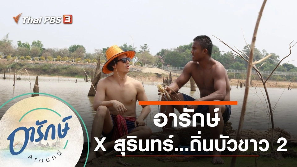 อารักษ์ x สุรินทร์ถิ่นบัวขาว 2