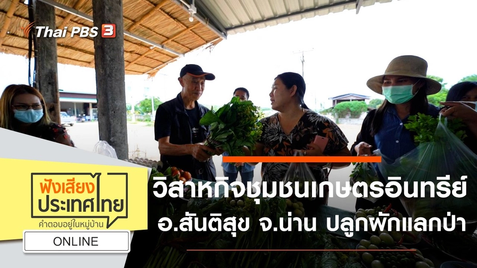 Online : วิสาหกิจชุมชนเกษตรอินทรีย์ อ.สันติสุข จ.น่าน ปลูกผักแลกป่า