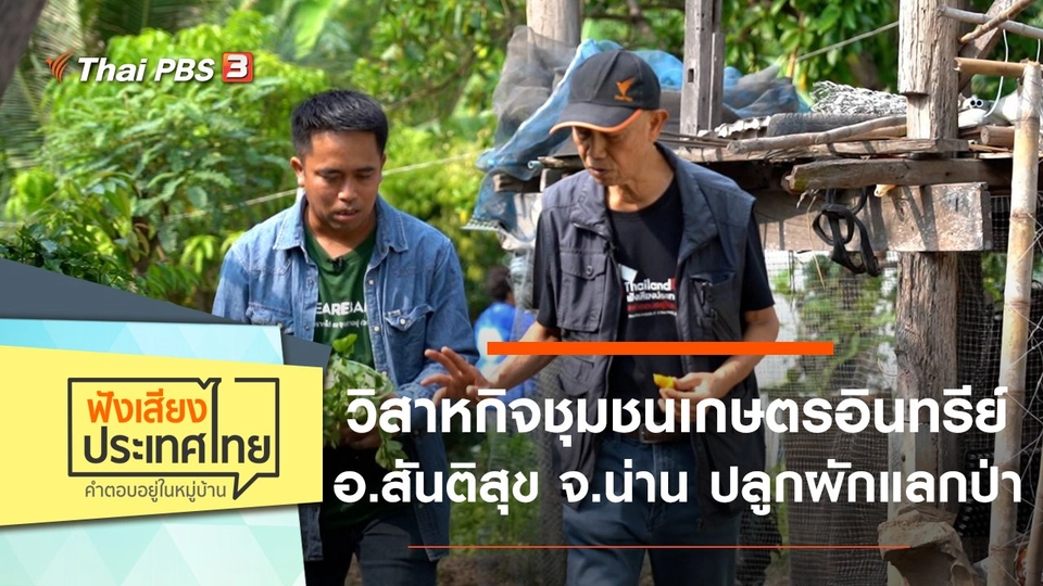 วิสาหกิจชุมชนเกษตรอินทรีย์ อ.สันติสุข จ.น่าน ปลูกผักแลกป่า