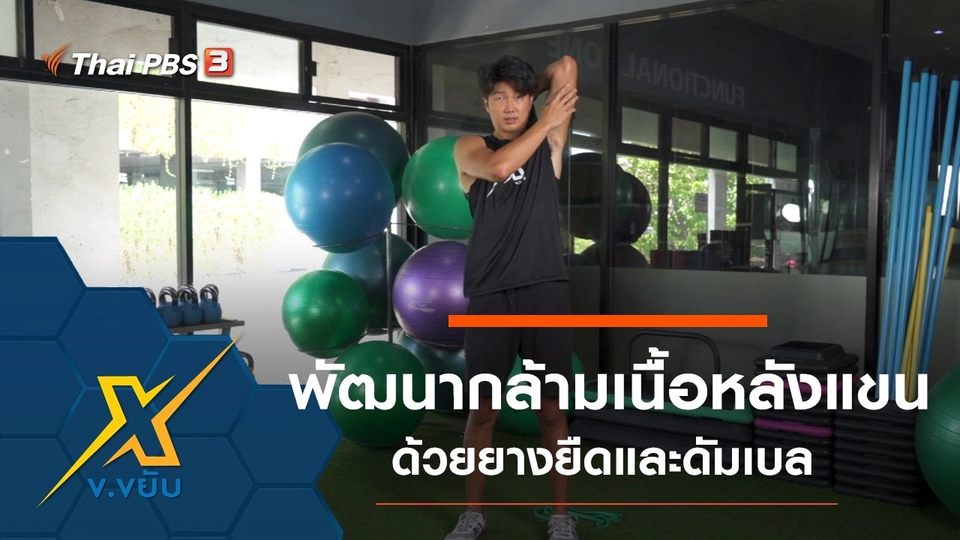 พัฒนากล้ามเนื้อหลังแขนด้วยยางยืดและดัมเบล