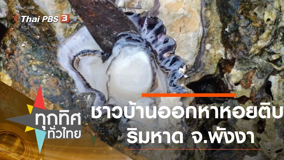 ชาวบ้านออกหาหอยติบริมหาด จ.พังงา