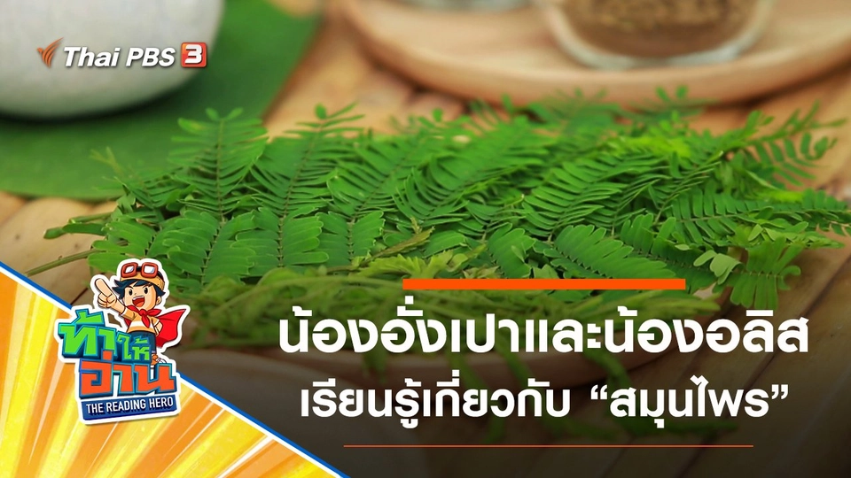 สมุนไพร : น้องอั่งเปาและน้องอลิส