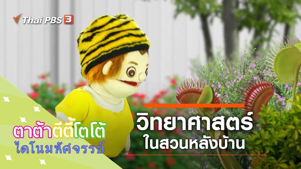 วิทยาศาสตร์หลังบ้าน