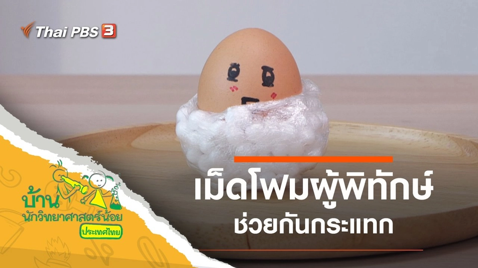 เม็ดโฟมผู้พิทักษ์