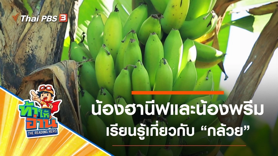 กล้วย : น้องฮานีฟและน้องพรีม