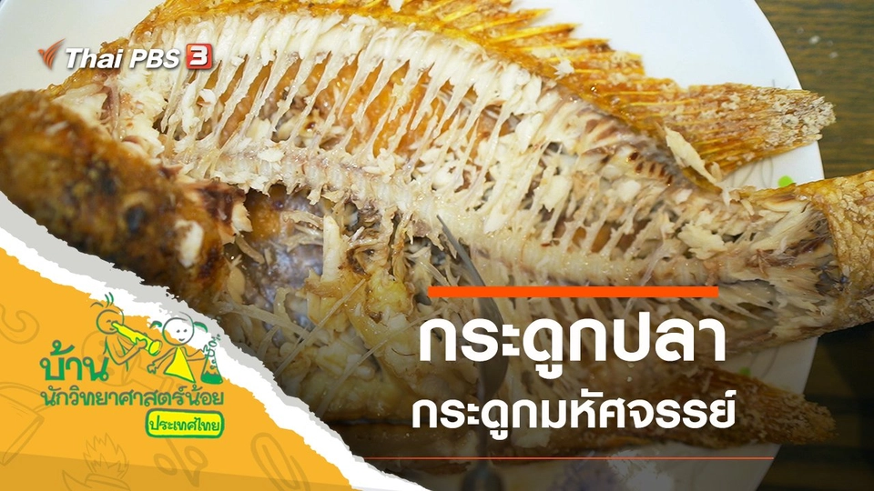 กระดูกปลามหัศจรรย์