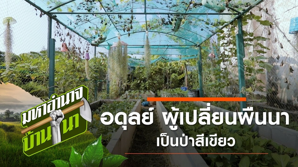 อดุลย์ ผู้เปลี่ยนผืนนาเป็นป่าสีเขียว