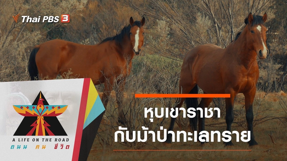 หุบเขาราชากับม้าป่าทะเลทราย