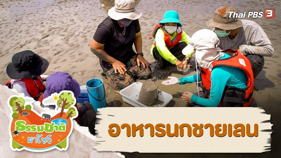 อาหารนกชายเลน