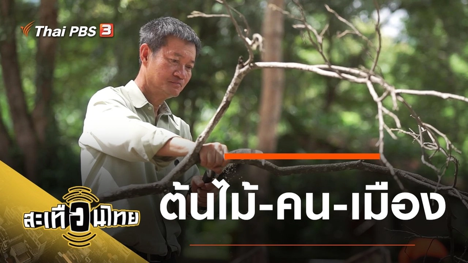 ต้นไม้-คน-เมือง