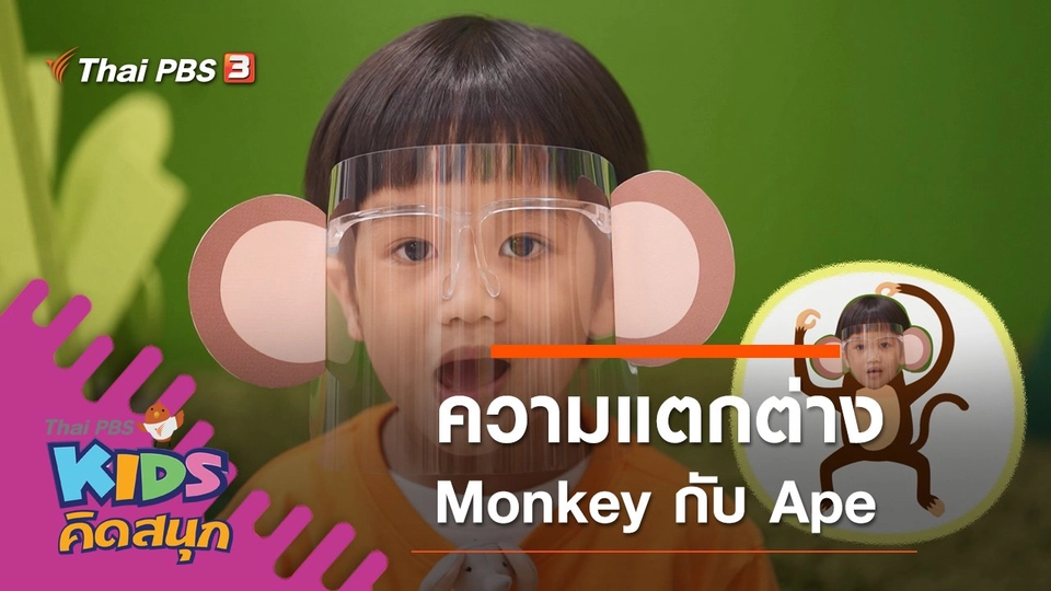 ความแตกต่าง Monkey กับ Ape