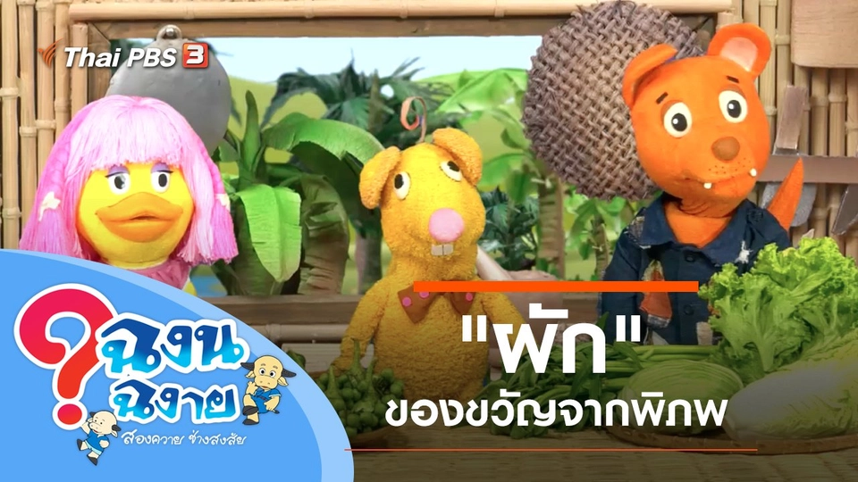 "ผัก" ของขวัญจากพิภพ