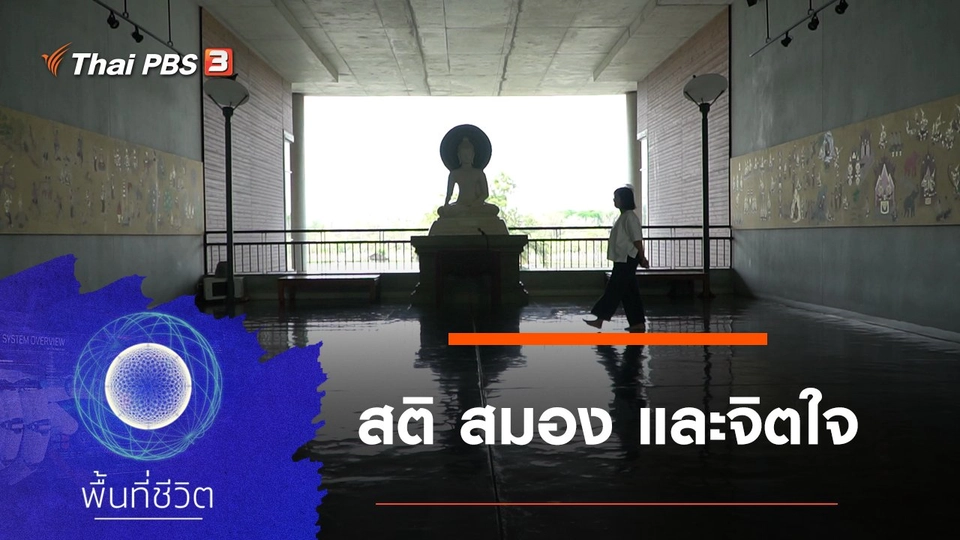 สติ สมอง และจิตใจ