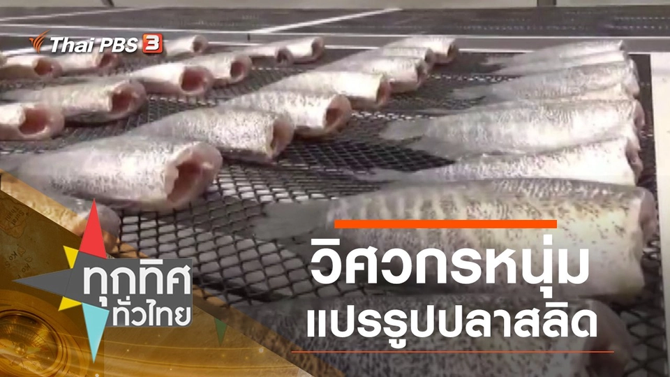 วิศวกรหนุ่มแปรรูปปลาสลิด