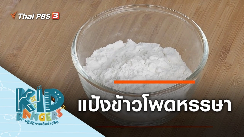 แป้งข้าวโพดหรรษา