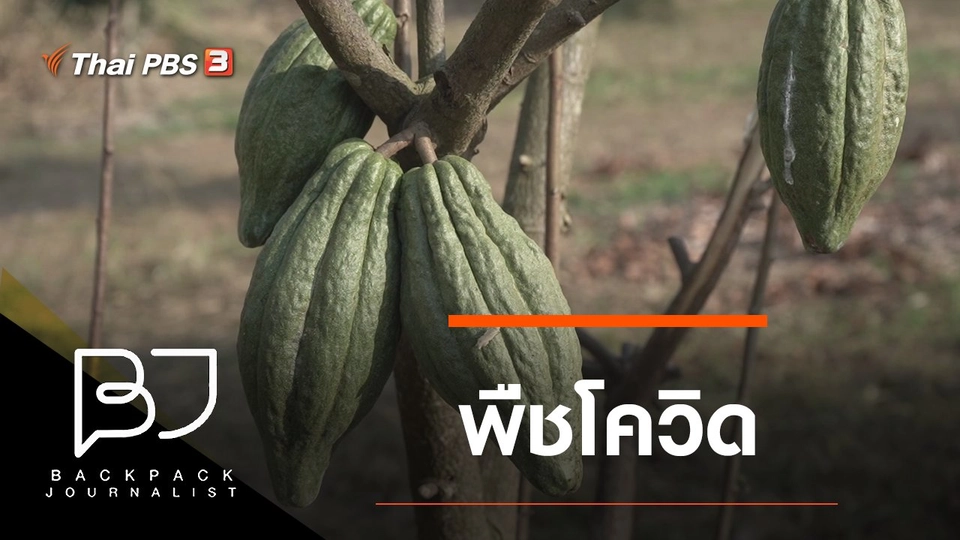 พืชโควิด