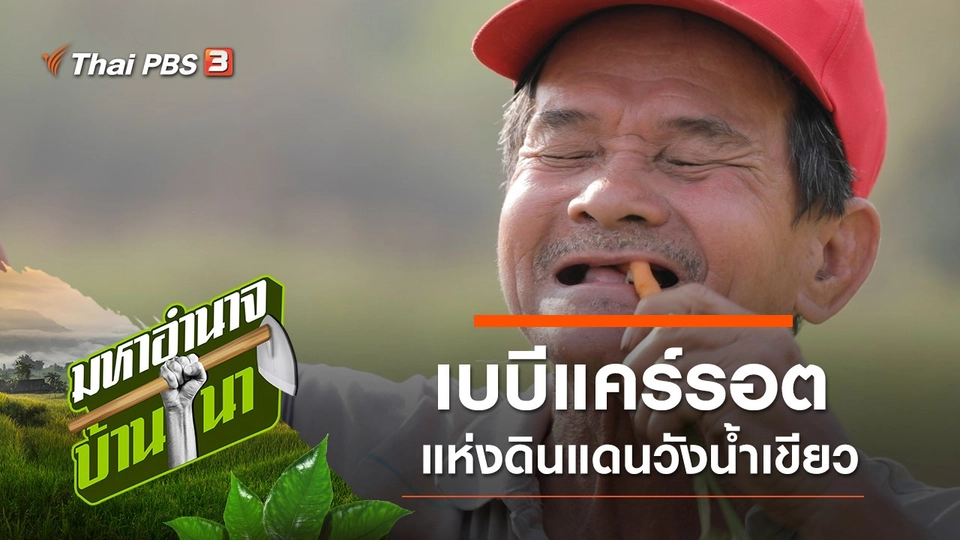 เบบีแคร์รอต แห่งดินแดนวังน้ำเขียว