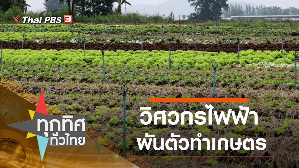 วิศวกรไฟฟ้าผันตัวทำเกษตร