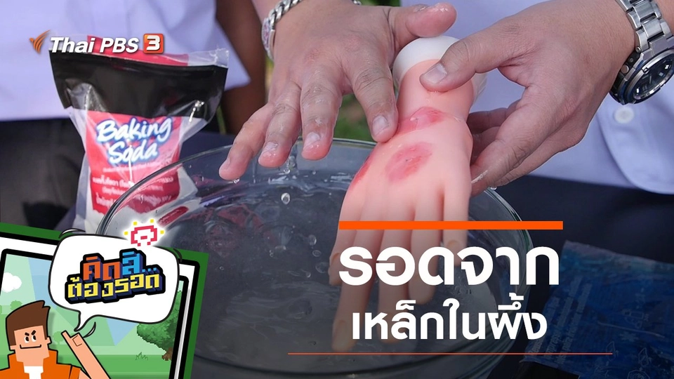 รอดจากเหล็กในผึ้ง