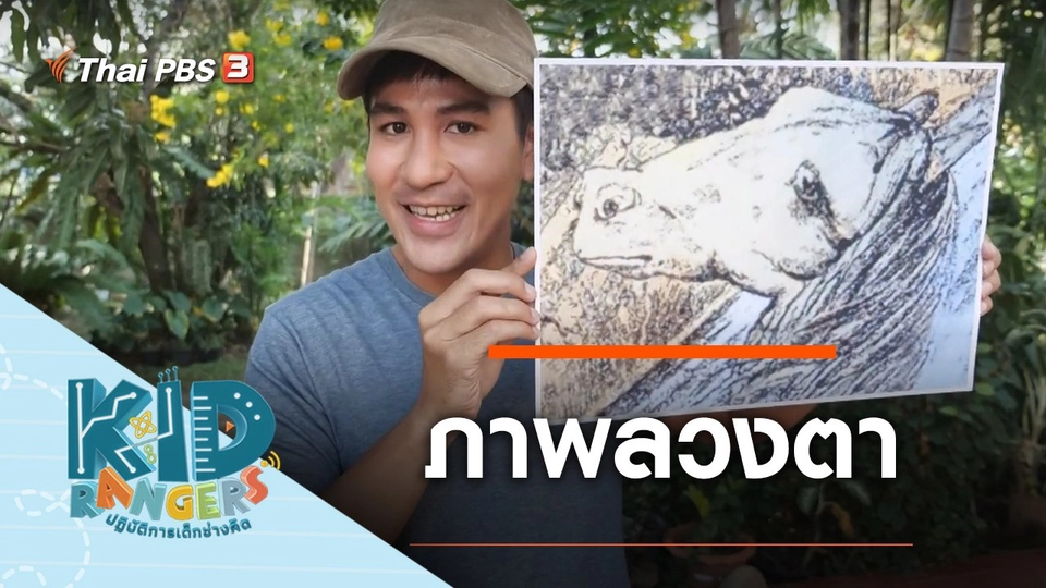 ภาพลวงตา