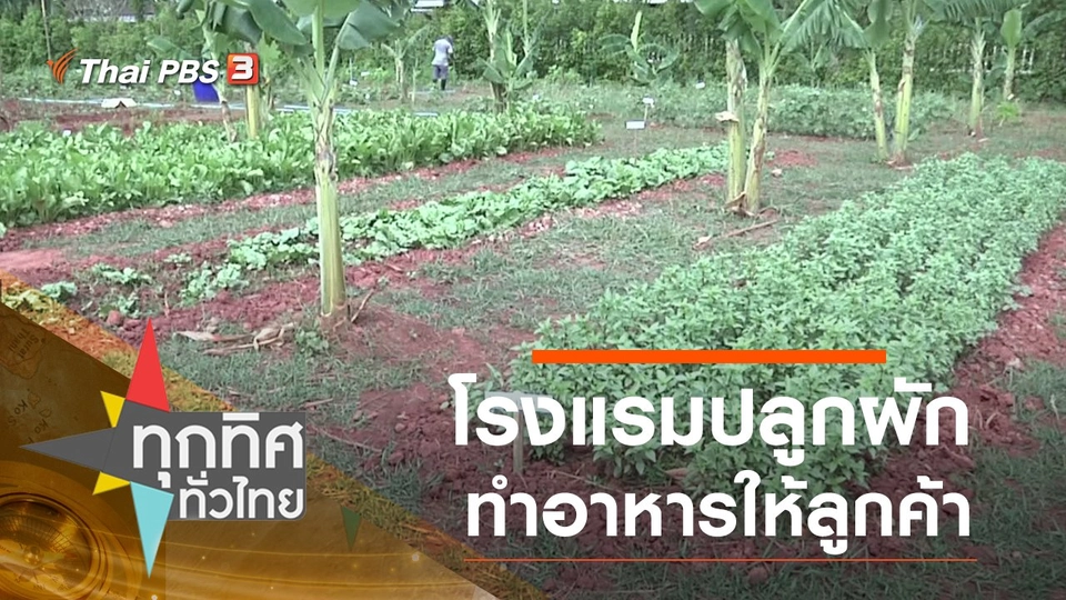 โรงแรมปลูกผักทำอาหารให้ลูกค้า