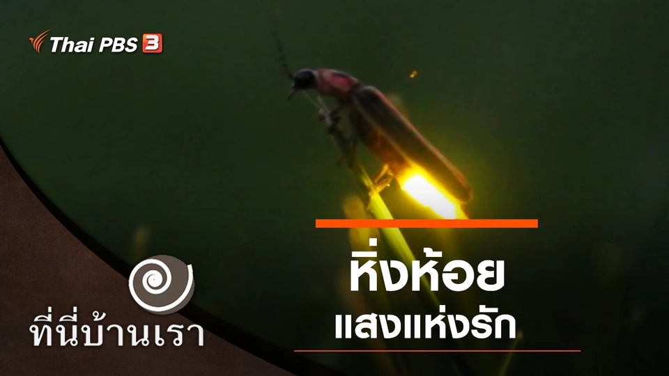 แสงแห่งรัก