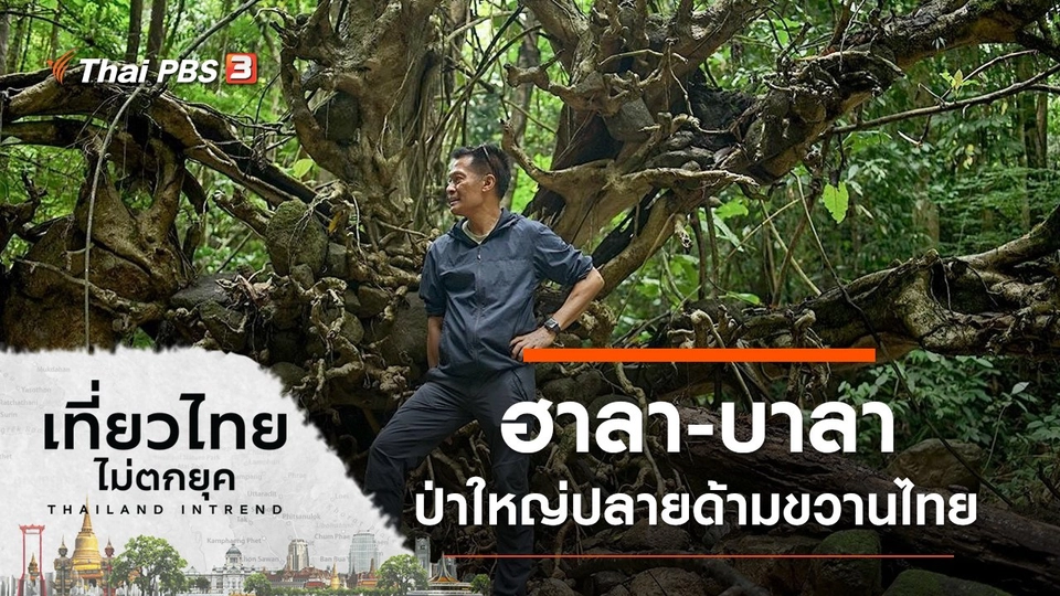 ฮาลา-บาลา ป่าใหญ่ปลายด้ามขวานไทย  อำเภอสุคิริน จังหวัดนราธิวาส