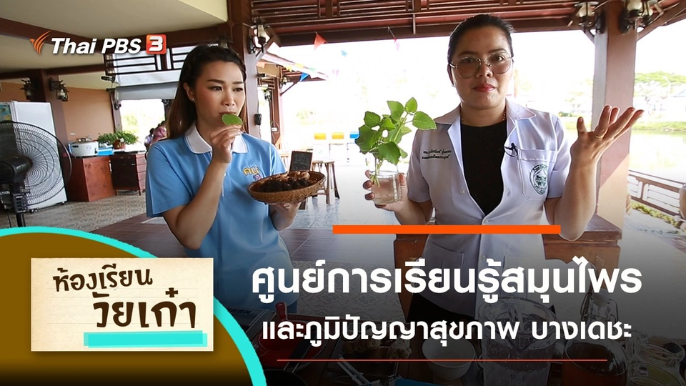 ศูนย์การเรียนรู้สมุนไพร และภูมิปัญญาสุขภาพ บางเดชะ