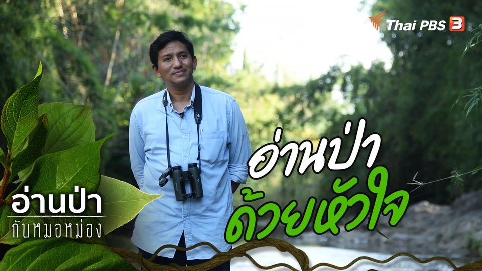 อ่านป่าด้วยหัวใจ