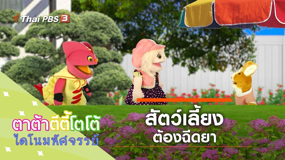 สัตว์เลี้ยงต้องฉีดยา