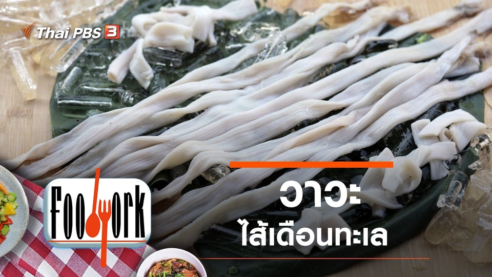 วาวะ...ไส้เดือนทะเล