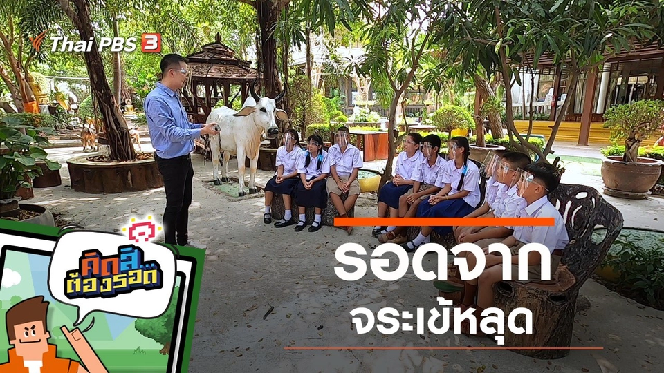 รอดจากจระเข้หลุด