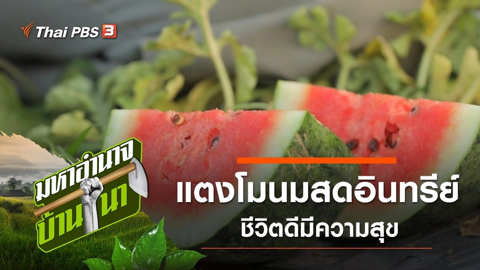 แตงโมนมสดอินทรีย์ ชีวิตดีมีความสุข