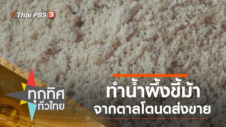 ทำน้ำผึ้งขี้ม้าจากตาลโตนดขาย