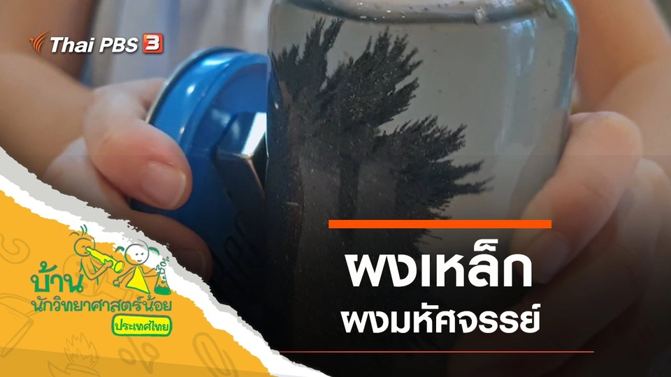 ผงเหล็กมหัศจรรย์