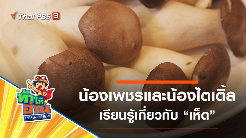 เห็ด : น้องเพชรและน้องไตเติ้ล