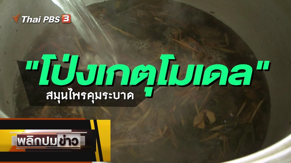 โป่งเกตุโมเดล สมุนไพรคุมระบาด