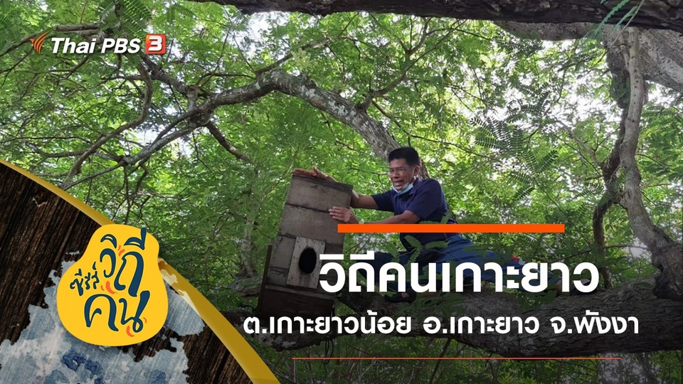 วิถีคนเกาะยาว ต.เกาะยาวน้อย อ.เกาะยาว จ.พังงา