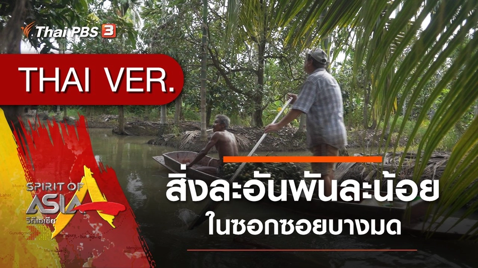 ​สิ่งละอันพันละน้อยในซอกซอยบางมด