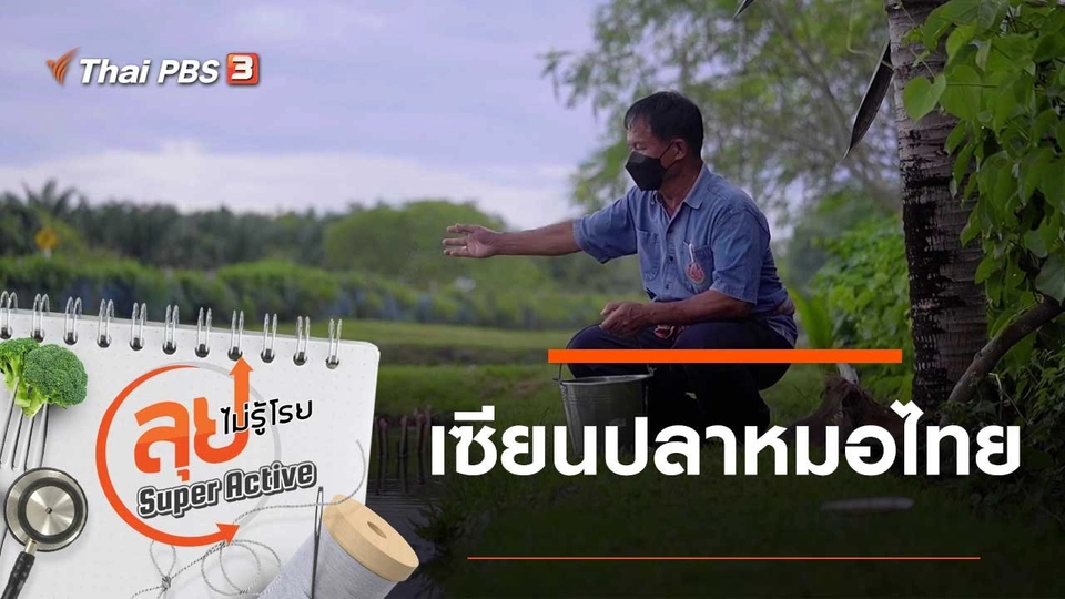 เซียนปลาหมอไทย