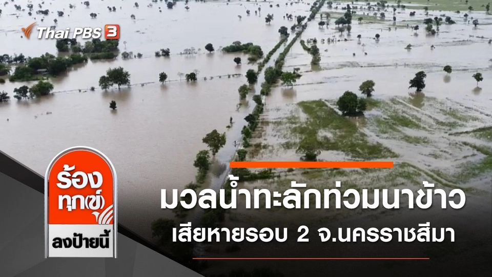 มวลน้ำทะลักท่วมนาข้าวเสียหายรอบ 2 จ.นครราชสีมา