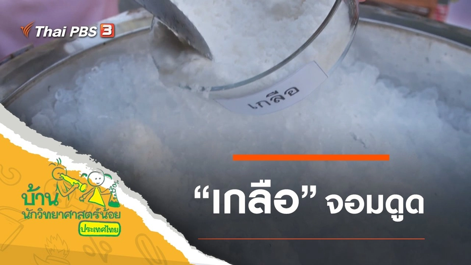 เกลือจอมดูด