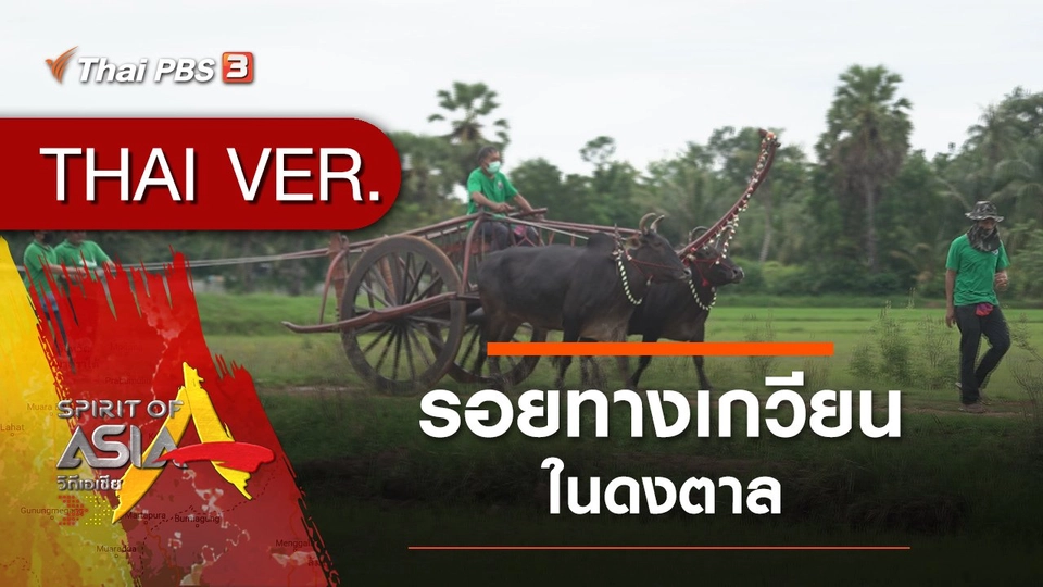 รอยทางเกวียนในดงตาล
