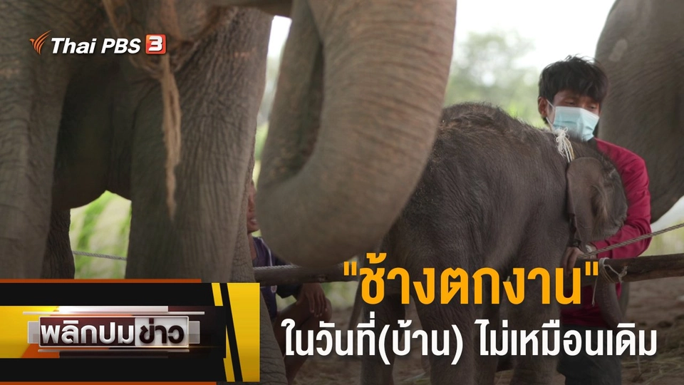 "ช้างตกงาน" ในวันที่(บ้าน) ไม่เหมือนเดิม