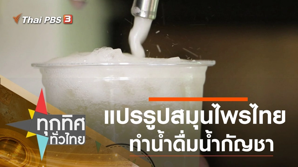 แปรรูปสมุนไพรไทยทำน้ำดื่มน้ำกัญชา