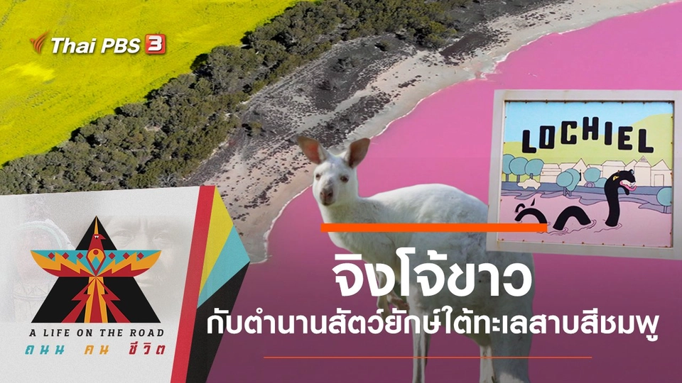 จิงโจ้ขาวกับตำนานสัตว์ยักษ์ใต้ทะเลสาบสีชมพู